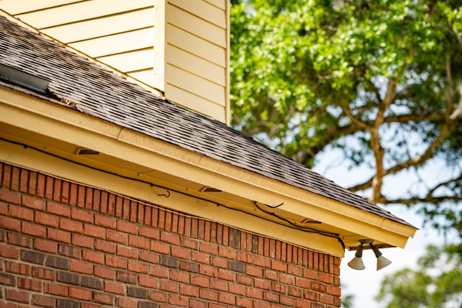 Paver Installation Professional professional roof cleaning Jacksonville