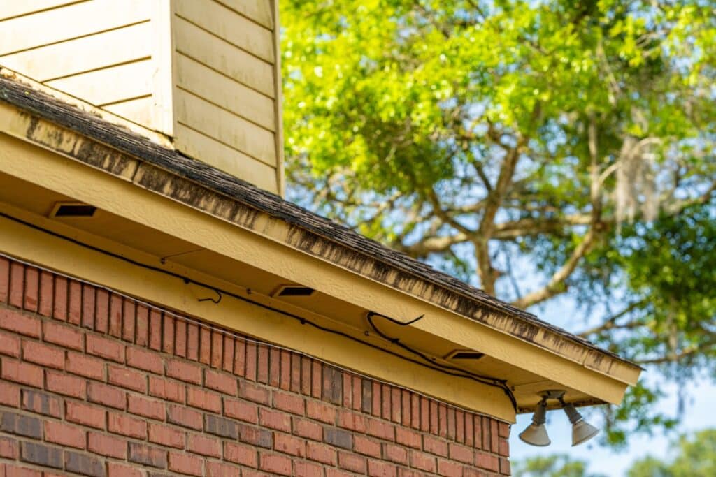 Roof soft washing service Jacksonville FL