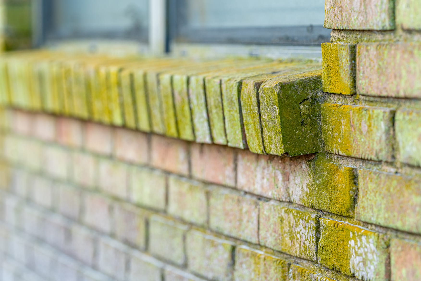 Soft washing brick mold from exterior walls