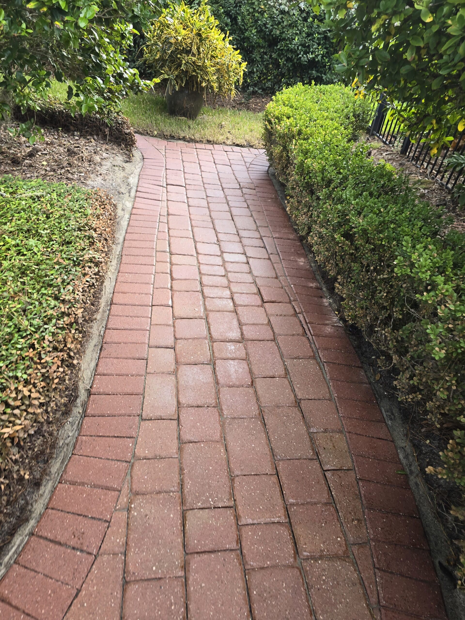Surface CPR paver sealing and cleaning services Jacksonville FL