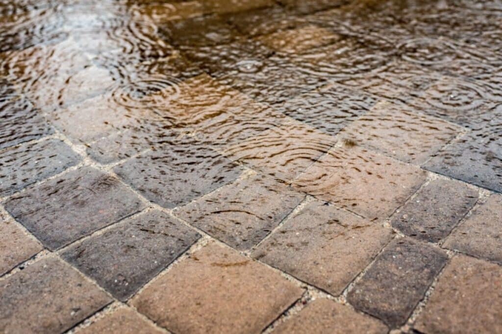 brick pavers covered in rain water