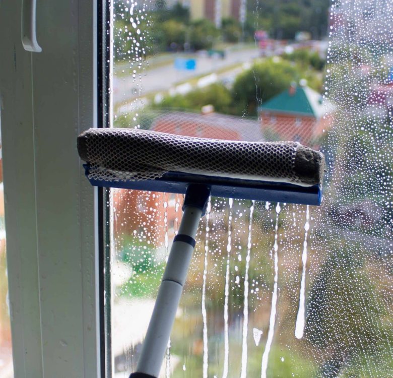 Window cleaning brush for windows washing